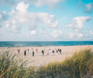 Surfana vlieland zomerkampen surfen