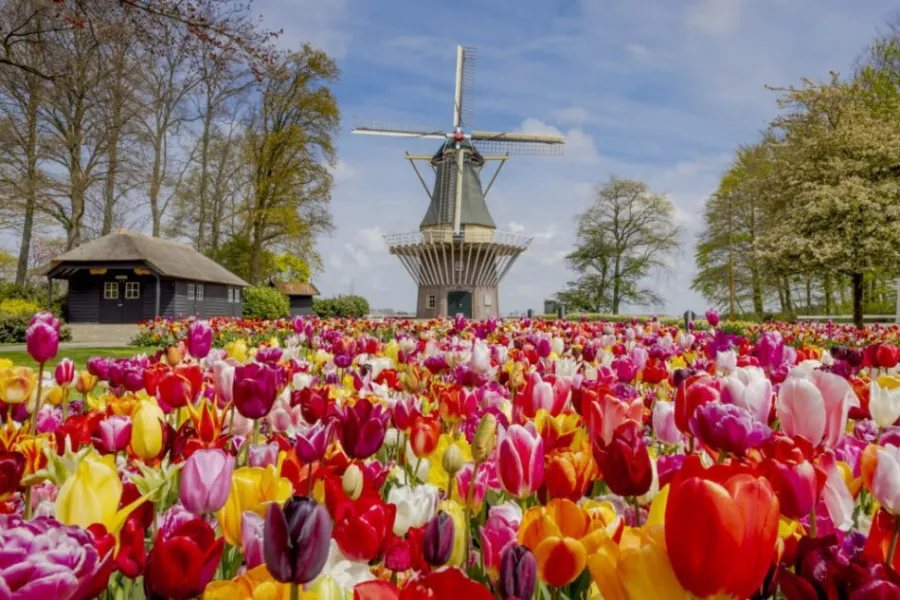 Bezoek de keukenhof