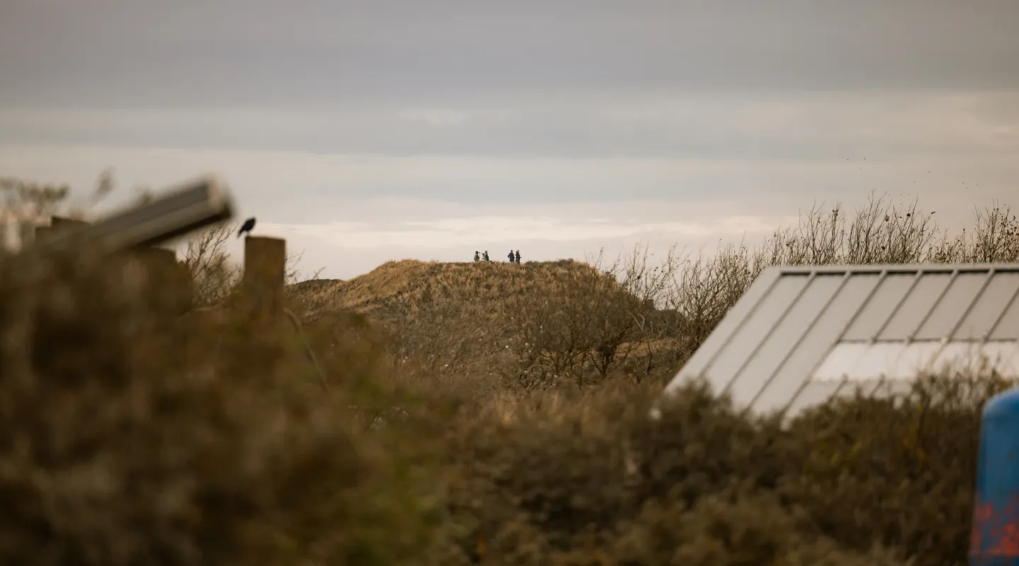 Herfst duinen De Lakens