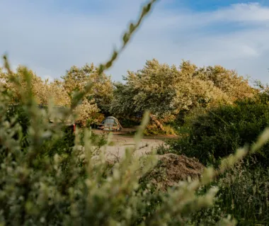 Duinen met een tentje