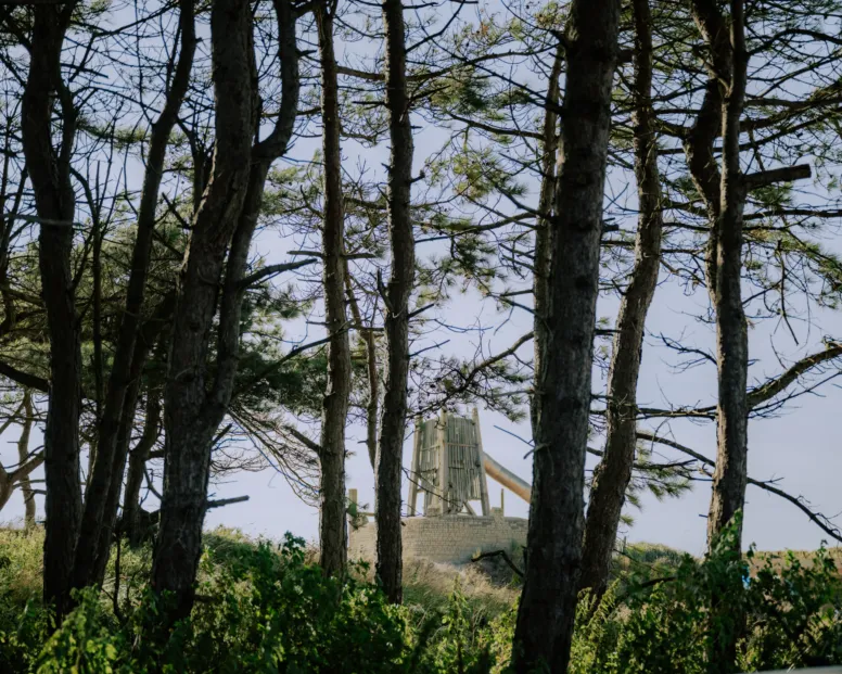 Glijbaan tussen de duinen door