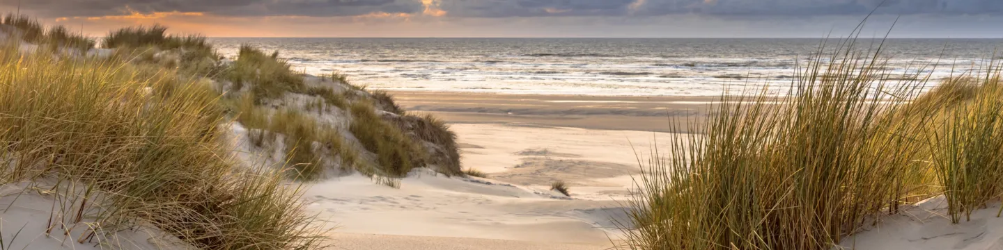 Duinen